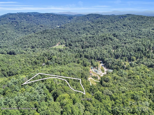 SR1196-E Evans Rd, Hendersonville NC, 28739 land for sale