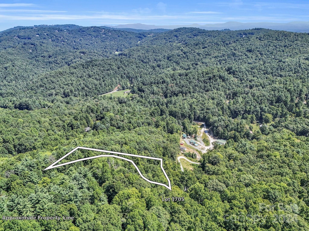SR1196-E Evans Rd, Hendersonville, NC 28739