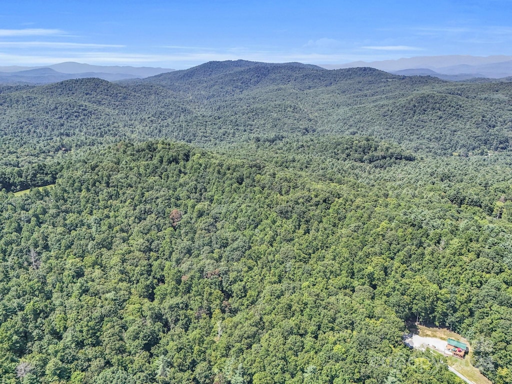 SR1196-E Evans Rd, Hendersonville, NC 28739