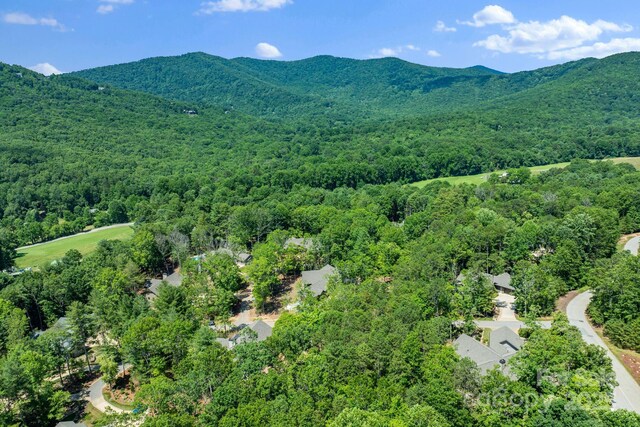 11 Nestlewood Dr Unit 310, Arden, NC 28704 - aerial view of a mountain backdrop