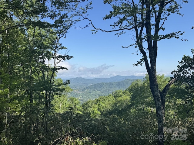 0000 W Garden Trl Lot 63, Hendersonville, NC 28792 - photo 2