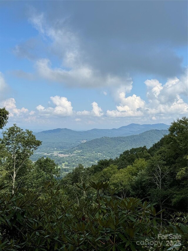 0000 W Garden Trl Lot 63, Hendersonville, NC 28792 - photo 3