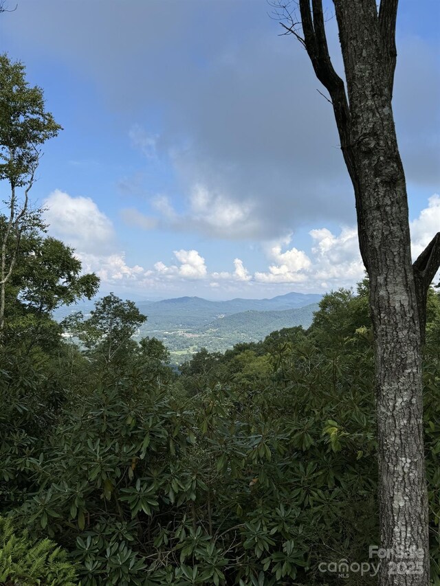 0000 W Garden Trl Lot 63, Hendersonville, NC 28792 - photo 4