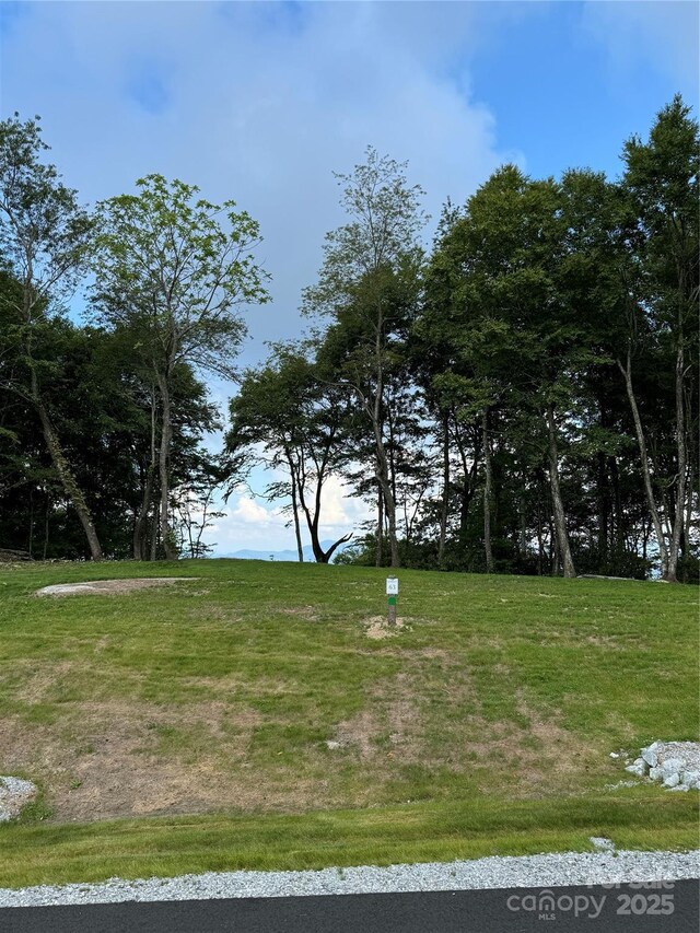 0000 W Garden Trl Lot 63, Hendersonville, NC 28792 - photo 5