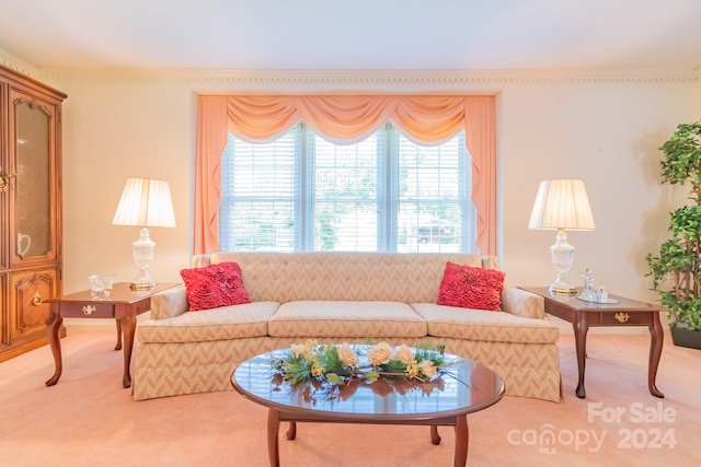 living room with carpet flooring