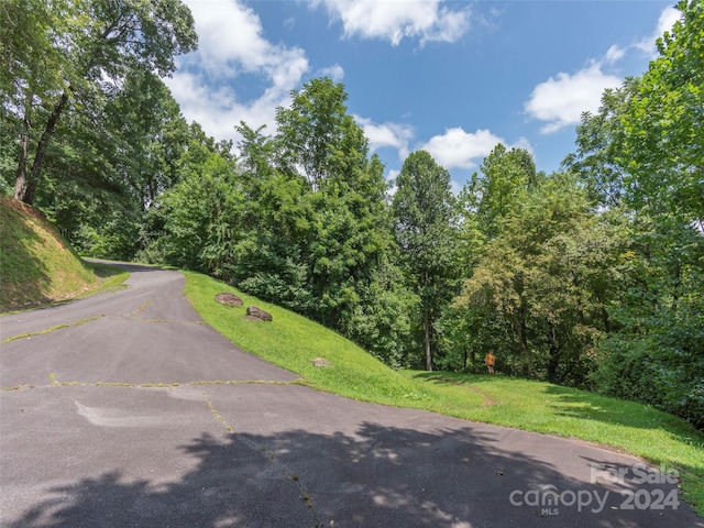 Listing photo 3 for 00000 Campbell Mountain Drive 120 & 121, Waynesville NC 28785