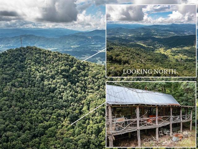 view of mountain feature featuring a view of trees