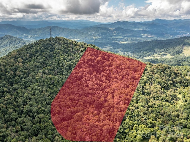 birds eye view of property featuring a mountain view and a view of trees