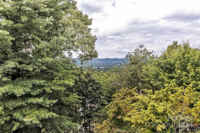 mountain view featuring a wooded view