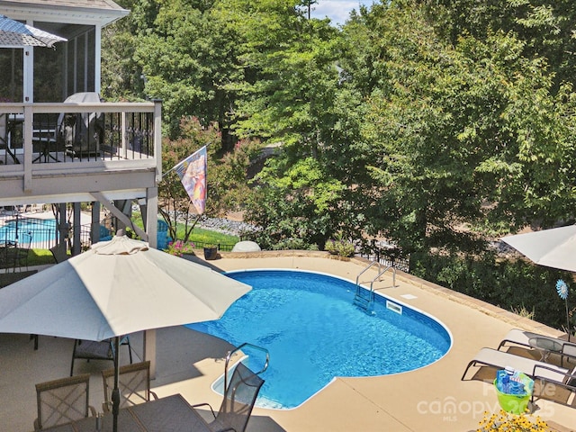 view of swimming pool with a patio