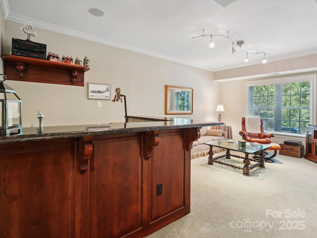 office space featuring light carpet and crown molding