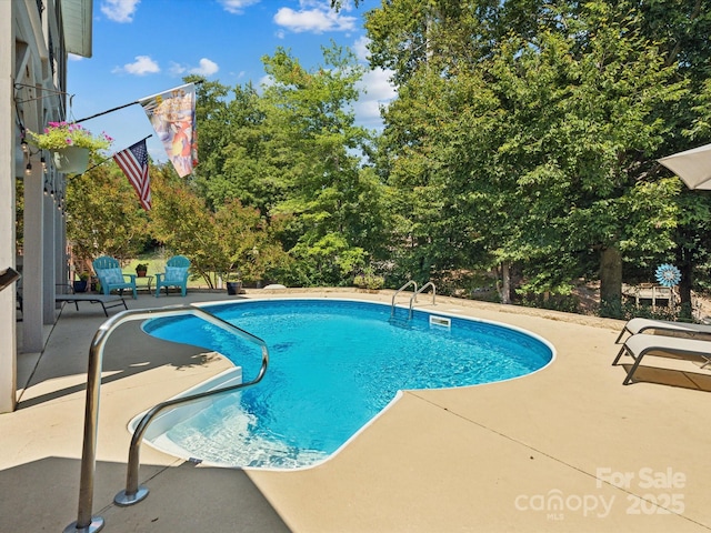 view of swimming pool with a patio