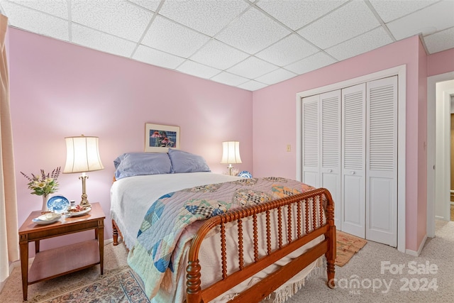 bedroom featuring a drop ceiling and carpet