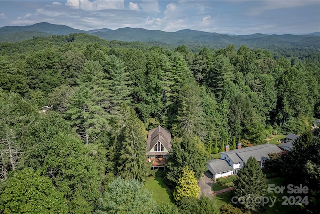 drone / aerial view featuring a mountain view