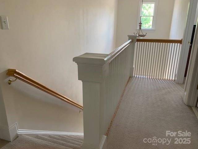 19307 Beaufain St, Cornelius, NC 28031 - stairway featuring baseboards and carpet floors