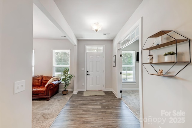 entryway featuring wood-type flooring