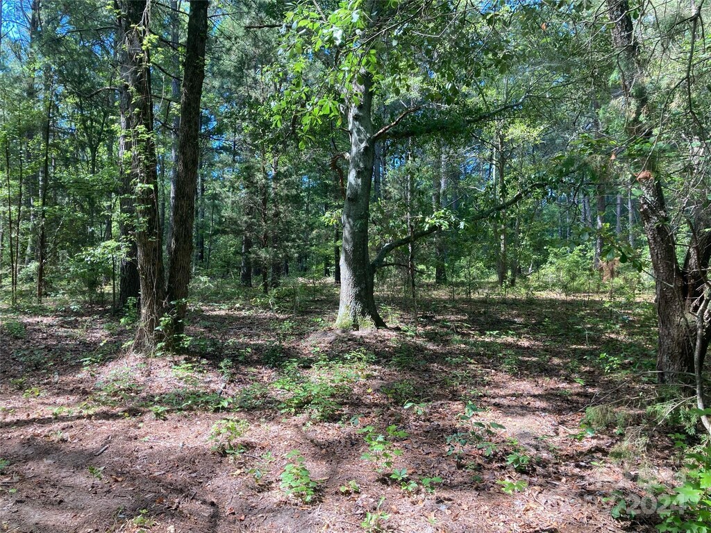 1824 Sportsman Rd, Morven, NC 28119 - photo 1