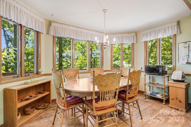 dining room with a wealth of natural light and light hardwood / wood-style flooring