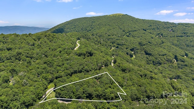 drone / aerial view with a mountain view