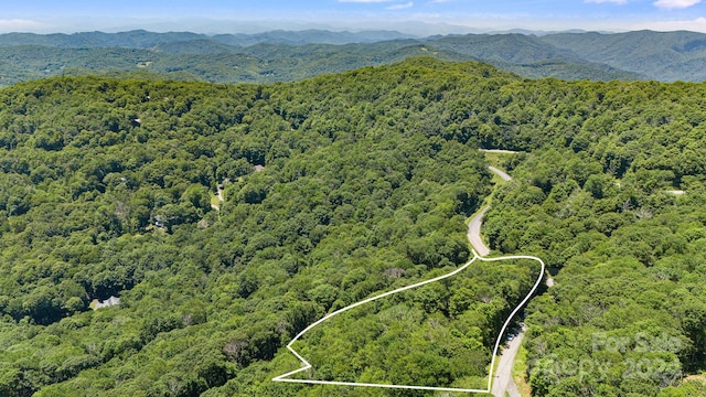 aerial view with a mountain view