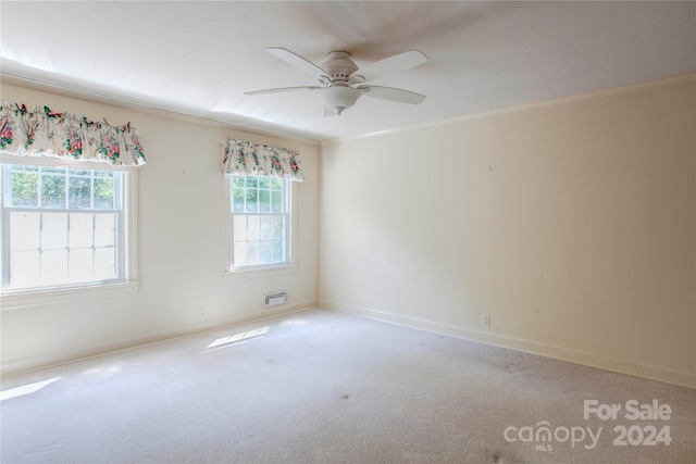 carpeted spare room with ceiling fan and ornamental molding