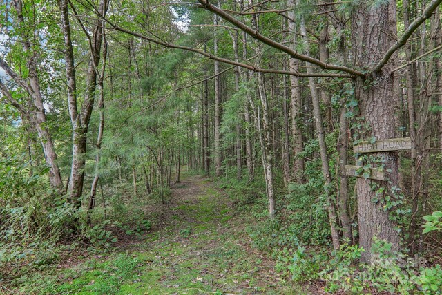 23 Country Meadows Ln, Hendersonville, NC 28792 - view of local wilderness featuring a wooded view