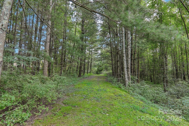 23 Country Meadows Ln, Hendersonville, NC 28792 - view of nature with a view of trees