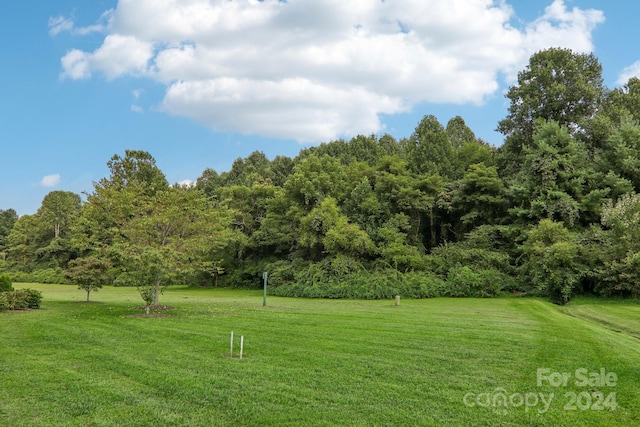 23 Country Meadows Ln, Hendersonville, NC 28792 - view of yard