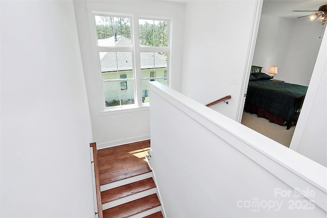 6178 Chimney Bluff Rd, Lancaster, SC 29720 - staircase with baseboards, wood finished floors, and a ceiling fan