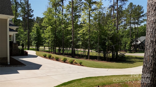6178 Chimney Bluff Rd, Lancaster, SC 29720 - view of property's community featuring a yard