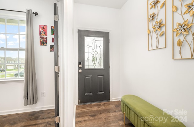 entrance foyer with dark hardwood / wood-style flooring and a wealth of natural light