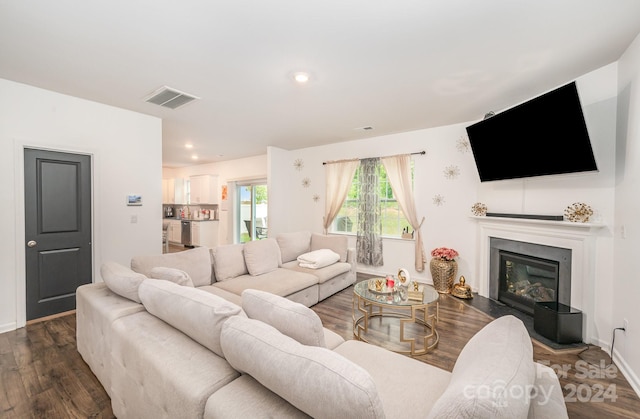 living room featuring dark wood-type flooring