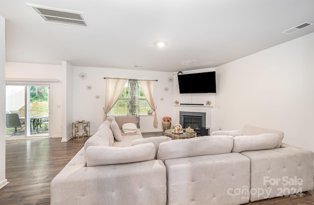 living room with a wealth of natural light and dark hardwood / wood-style floors