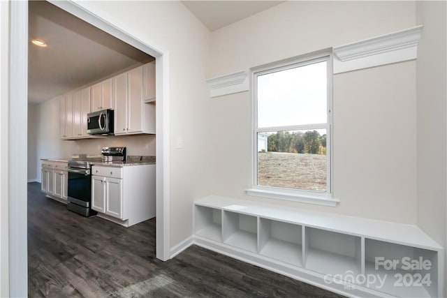 mudroom featuring dark wood-type flooring