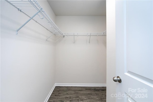 walk in closet featuring dark hardwood / wood-style flooring