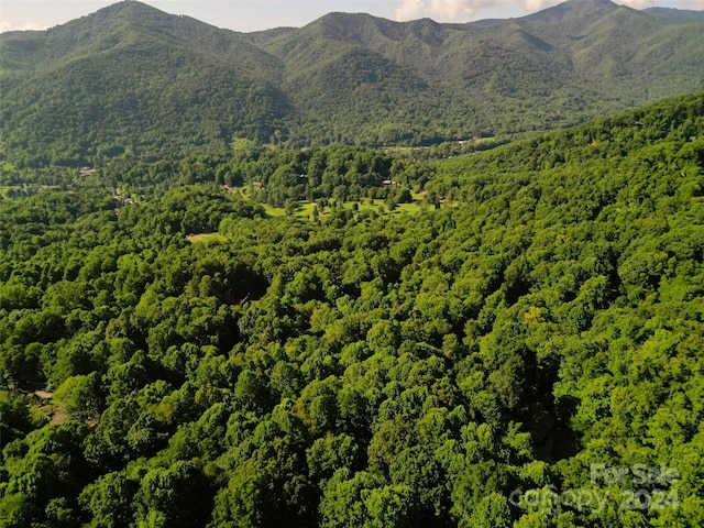 00 Sleepy Hollow Dr, Maggie Valley NC, 28751 land for sale