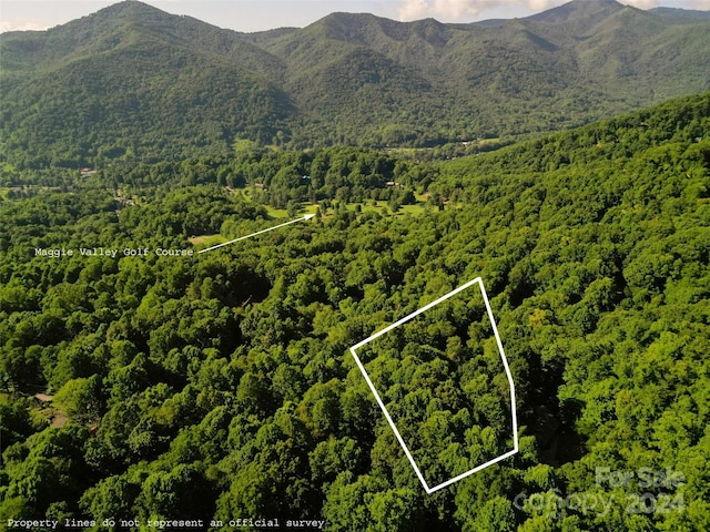 Listing photo 2 for 00 Sleepy Hollow Dr, Maggie Valley NC 28751