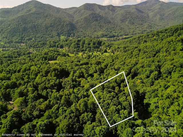 Listing photo 3 for 00 Sleepy Hollow Dr, Maggie Valley NC 28751