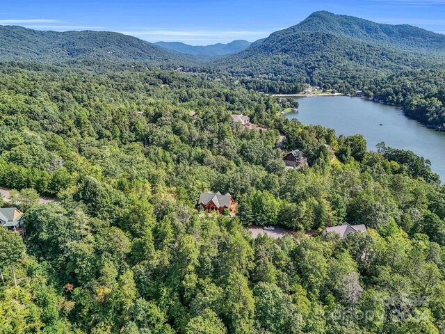 birds eye view of property featuring a water and mountain view