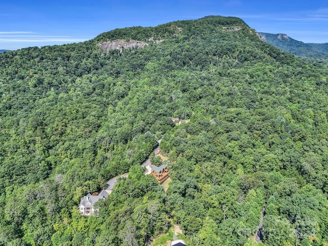 birds eye view of property featuring a mountain view and a view of trees