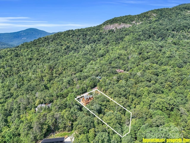 drone / aerial view featuring a mountain view and a view of trees