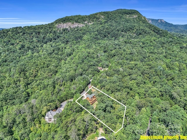 drone / aerial view featuring a mountain view