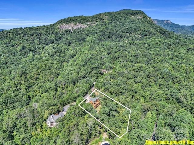 birds eye view of property with a mountain view and a view of trees