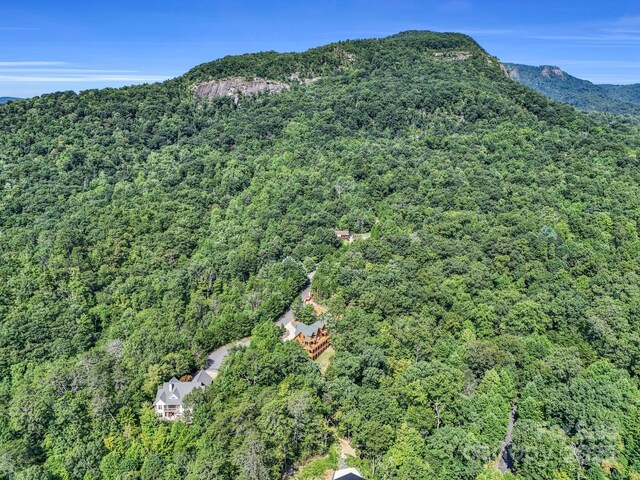 219 Highland Hts, Lake Lure, NC 28746 - aerial overview of property's location with a heavily wooded area and a mountainous background