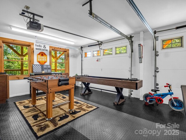 219 Highland Hts, Lake Lure, NC 28746 - rec room with a garage