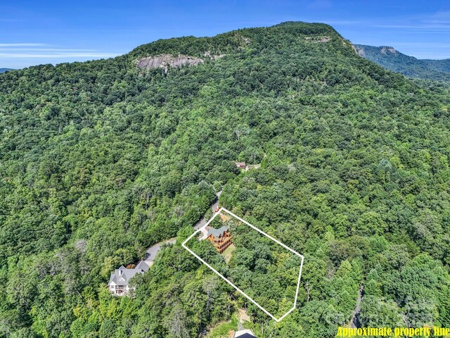 219 Highland Hts, Lake Lure, NC 28746 - aerial view of property's location with a heavily wooded area, property boundaries highlighted, and a mountainous background