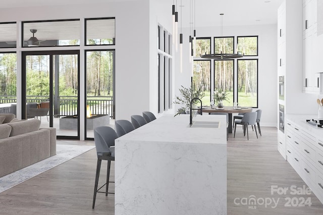 interior space featuring a wealth of natural light, light hardwood / wood-style flooring, sink, and ceiling fan