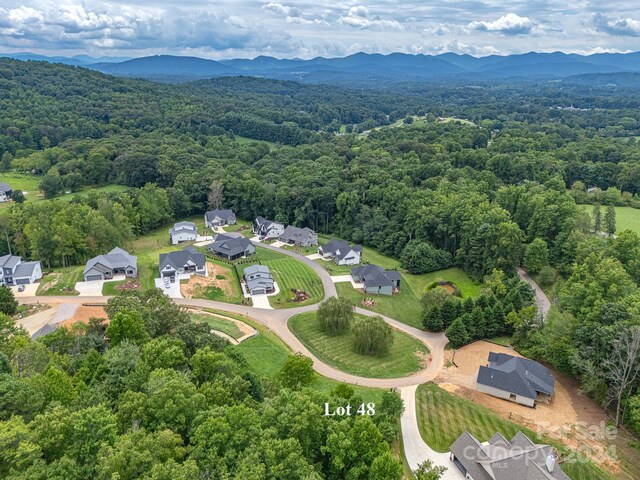 bird's eye view with a mountain view