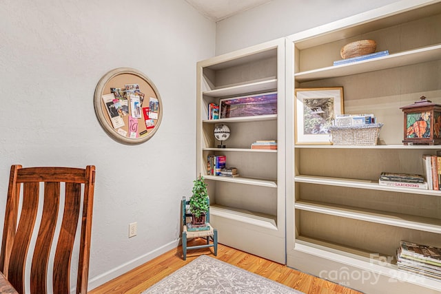 sitting room with light hardwood / wood-style floors