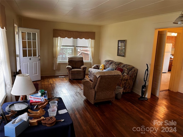 living room featuring dark wood-style flooring